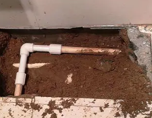 瓮安测漏水哪家好