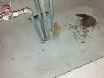 瓮安卫生间测漏水价格明细