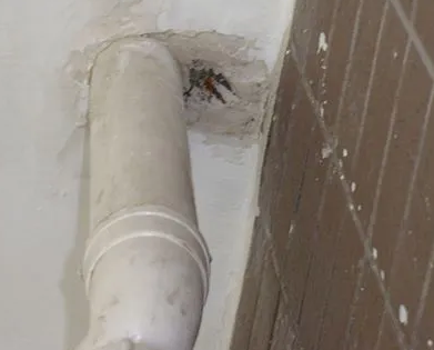 瓮安漏水检测哪家好